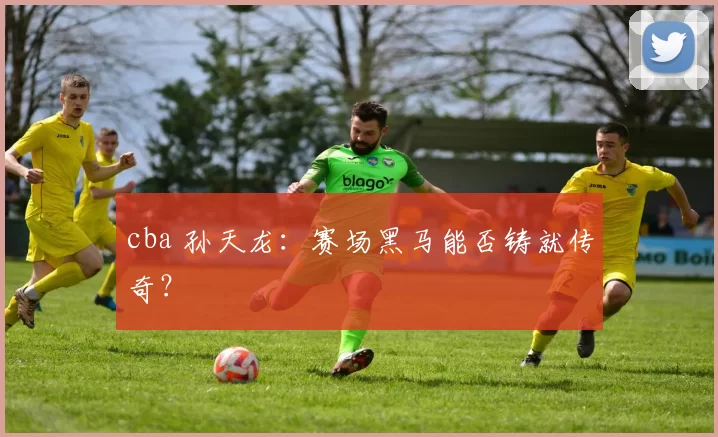 cba 孙天龙:赛场黑马能否铸就传奇?