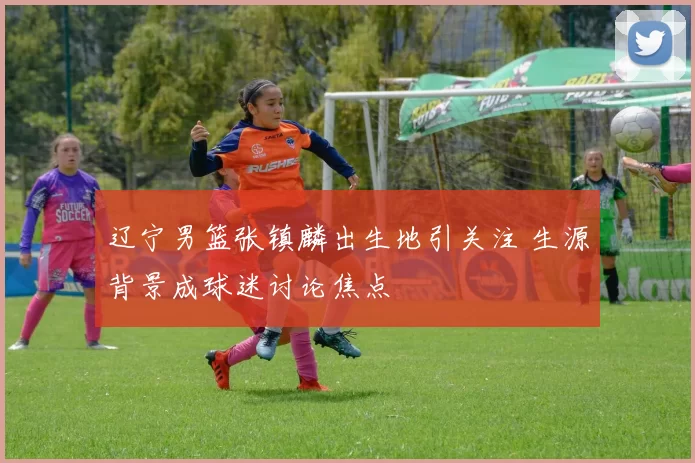 辽宁男篮张镇麟出生地引关注 生源背景成球迷讨论焦点