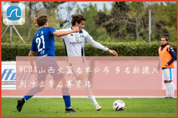 WCBA山西女篮名单公布 多名新援入列冲击季后赛资格